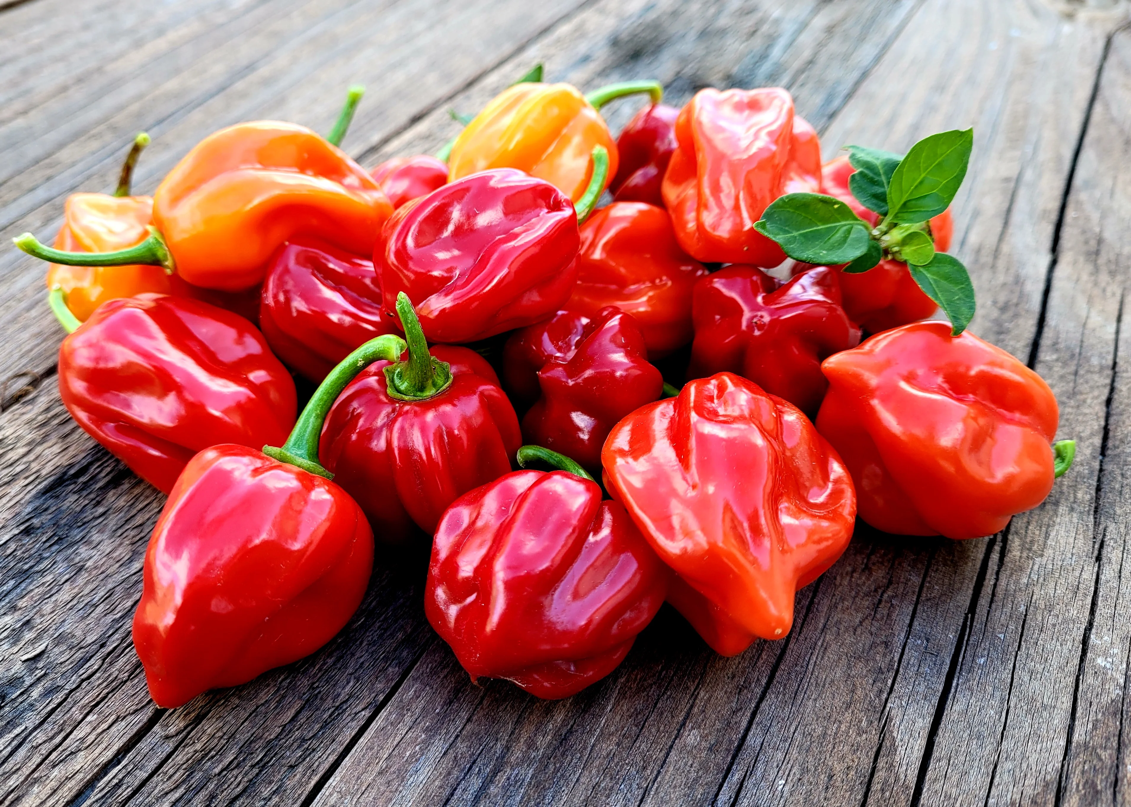 Piments